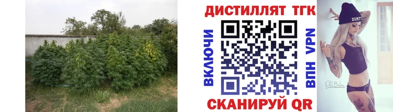 купить наркотики сайты  Нижние Серги  ТГК Wax 